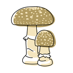Amanita pantherina mushrooms. Isolated on white background. Poisonous forest mushroom. Hand drawn doodle. Line art with splashes of color added. Pastel colors. Vector illustration.