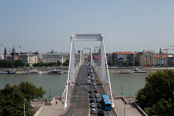 Elizabeth Bridge in Budapest - obrazy, fototapety, plakaty