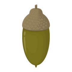Vector illustration of acorn isolated on background.
