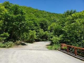 Obraz premium 山の天気