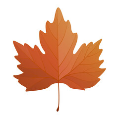 Vector illustration of an autumn maple leaf isolated on background.