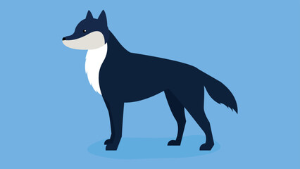 standing wolf on blue background