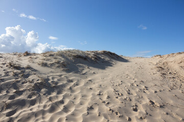 beach sand hill dune with vegetation 