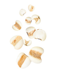 Job's tears (Adlay millet or pearl millet) flying in the air isolated on white background. 