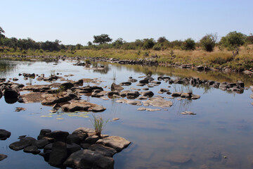 Shingwedzi River / Shingwedzi River /
