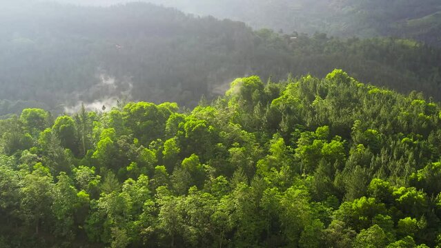 Aerial view of Mountains and green hills in Sri Lanka. Slopes of mountains with evergreen vegetation.