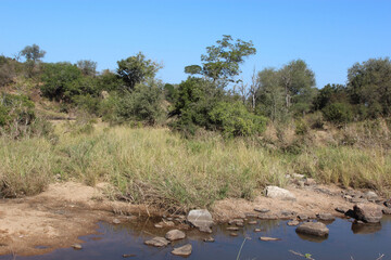 Bume River / Bume River /.