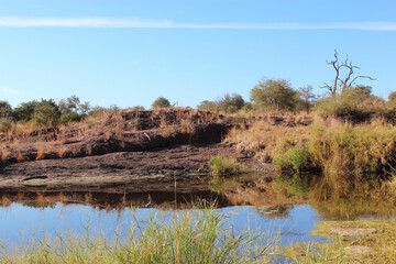 Afrikanischer Busch - Kr&uuml;gerpark - N`wanetsi River / African Bush - Kruger Park - N`wanetsi River /