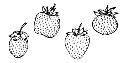 Vector strawberry clipart. Hand drawn berry icon. Fruit illustration. For print, web, design, decor, logo.
