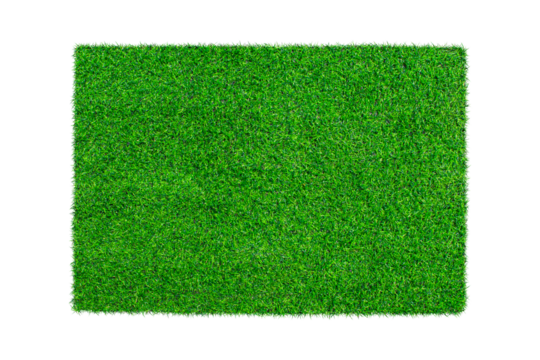 Artificial green carpet grass isolated on transparent background - PNG format.