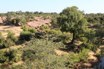 Afrikanischer Busch - Krügerpark - Red Rocks / African Bush - Kruger Park - Red Rocks /