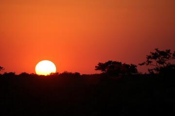 Sonnenuntergang - Krüger Park Südafrika / Sundown - Kruger Park South Africa /