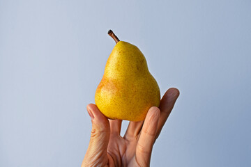Yellow pear on hand in a bright background 
