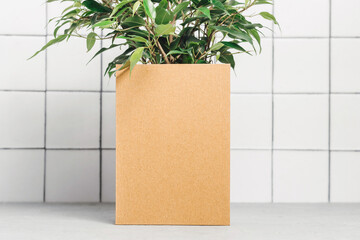 Blank craft paper card with houseplant at the background. Minimal aesthetic background for business brand, logo, poster or social media