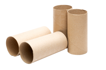 Cutout empty toilet paper rolls. Toilet paper core, Toilet roll core, Toilet paper tube. Paper waste for recycling.