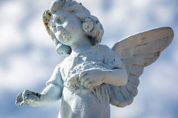 Seraphim angel sad with flower for forgiveness and hope of better days