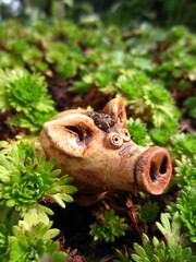 A small piglet sits in low-growing garden plants on a green background. This is a ceramic pig, a cute toy, a symbol of the year according to the Chinese horoscope.