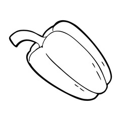 Whole sweet bell pepper. Vector vintage engraved illustration