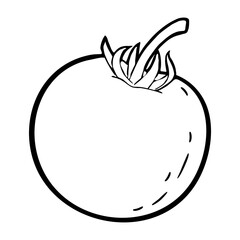 Tomato whole. Vector vintage engraving black illustration isolated