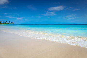 Tropical paradise: caribbean beach with single palm tree, Montego Bay, Jamaica - obrazy, fototapety, plakaty