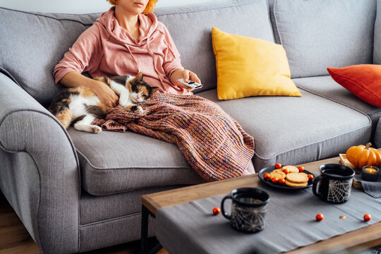 Woman With Plaid Selecting Movie With Remote Controller And Stroking Multicolored Cat Pet On The Sofa. Movie Night Party At Home With Sweets And Hot Drinks. Cozy Autumn Holidays. Selective Focus.