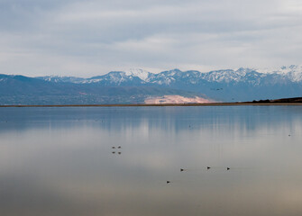 Obraz na płótnie Canvas Views of Great Salt Lake at Antelope Island State Park, Utah, USA. 