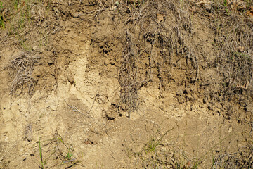 Texture layers of the earth. Cross-section in the soil.