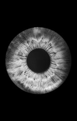 eye iris 