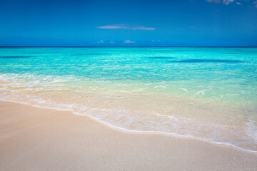 Fototapeta na wymiar Tropical paradise: idyllic caribbean beach, Punta Cana, Saona Island