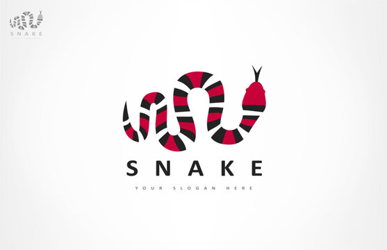 Snake logo vector. Design vector illustration. Striped king snake.
