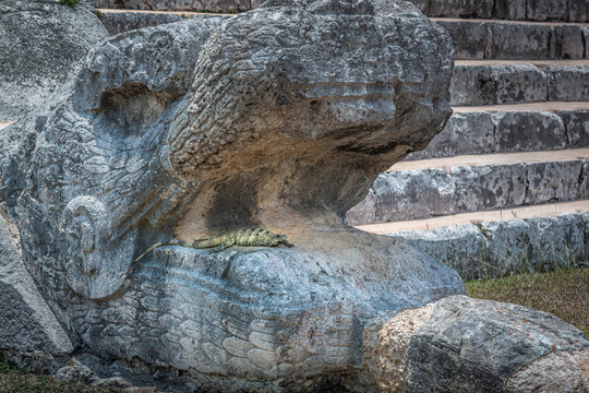 Chichen Itza kukulcan snake with lizard reptile in the open mouth, Mexico