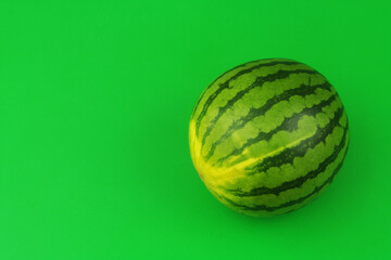 Whole watermelon on green background with copy space for text.