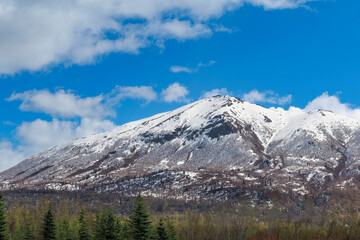 Fototapeta premium Lazy Mountain (2022)