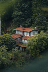 Fototapeta na wymiar An abandoned house hidden in a green nature covered in a light mist. High quality photo