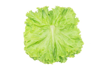 Salad leaf. Lettuce isolated on white background with clipping path.