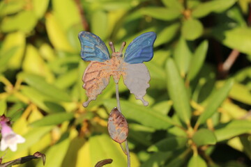 Fototapeta Zardzewiała ozdoba ogrodowa w kształcie motyla obraz