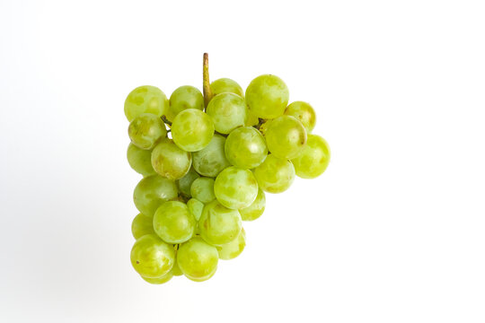 Green grapes on a white background. A brush of green grapes.