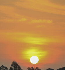 magical sunrise over the forest
