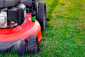 Obraz premium Red Lawn Mower in Lush Green Grass Mowing Lawn