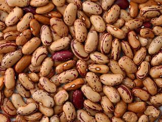 Pinto brown beans close-up. Raw hard beans with red spots background. Small beans top view.