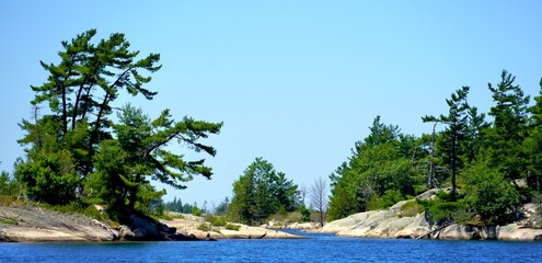 Windswept Pine trees on weathered granite islands in Georgian Bay Ontario Canada