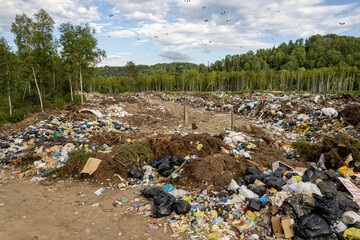 Garbage area in forest