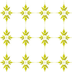 decorative ornament of yellow-green leaves on a white background