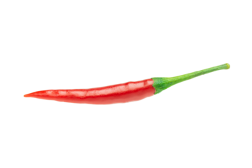 Red chilli isolated on white background with clipping path