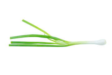 Green onion