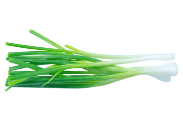 Naklejka premium Green onion
