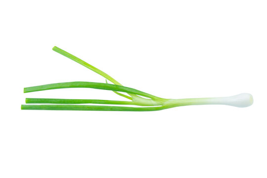 Green onion