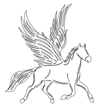 winged pegasus sketch on white background