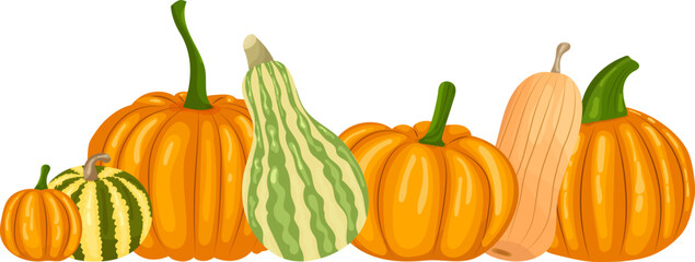 pumpkin set in flat style, isolated, vector