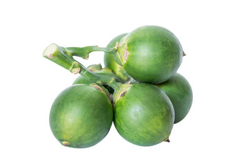 fresh betel nuts, Betel palm isolated on white background with clipping path